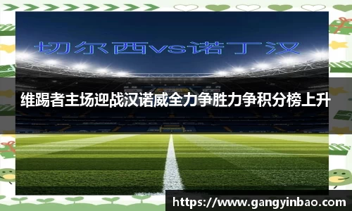 维踢者主场迎战汉诺威全力争胜力争积分榜上升