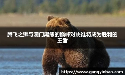 emc易倍体育